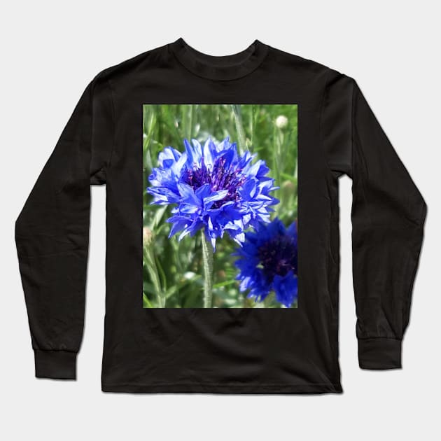 Cornflower Long Sleeve T-Shirt by Celtic Morrigan